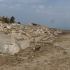 Bassotto fra le rovine del santuario di Giove Anxur