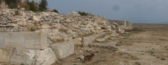 Bassotto fra le rovine del santuario di Giove Anxur