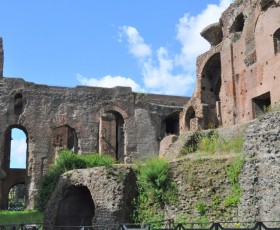 Passeggiata nel Foro Romano e sul Palatino