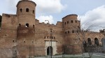 porta-asinaria